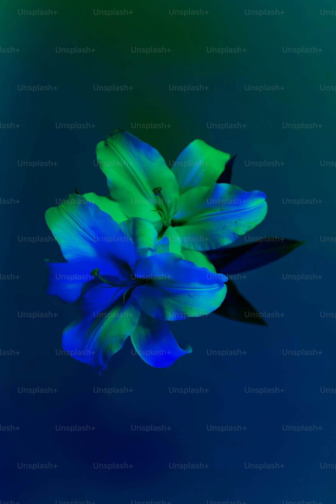 http://n.sinaimg.cn/news/transform/w600h400/20180307/qy7O-fxipenp0585856.jpg?zdy